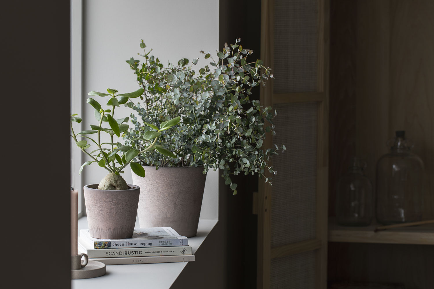 Grønne planter Grønne planter
